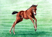 Mares and Foals, Equine Art - Born to Run